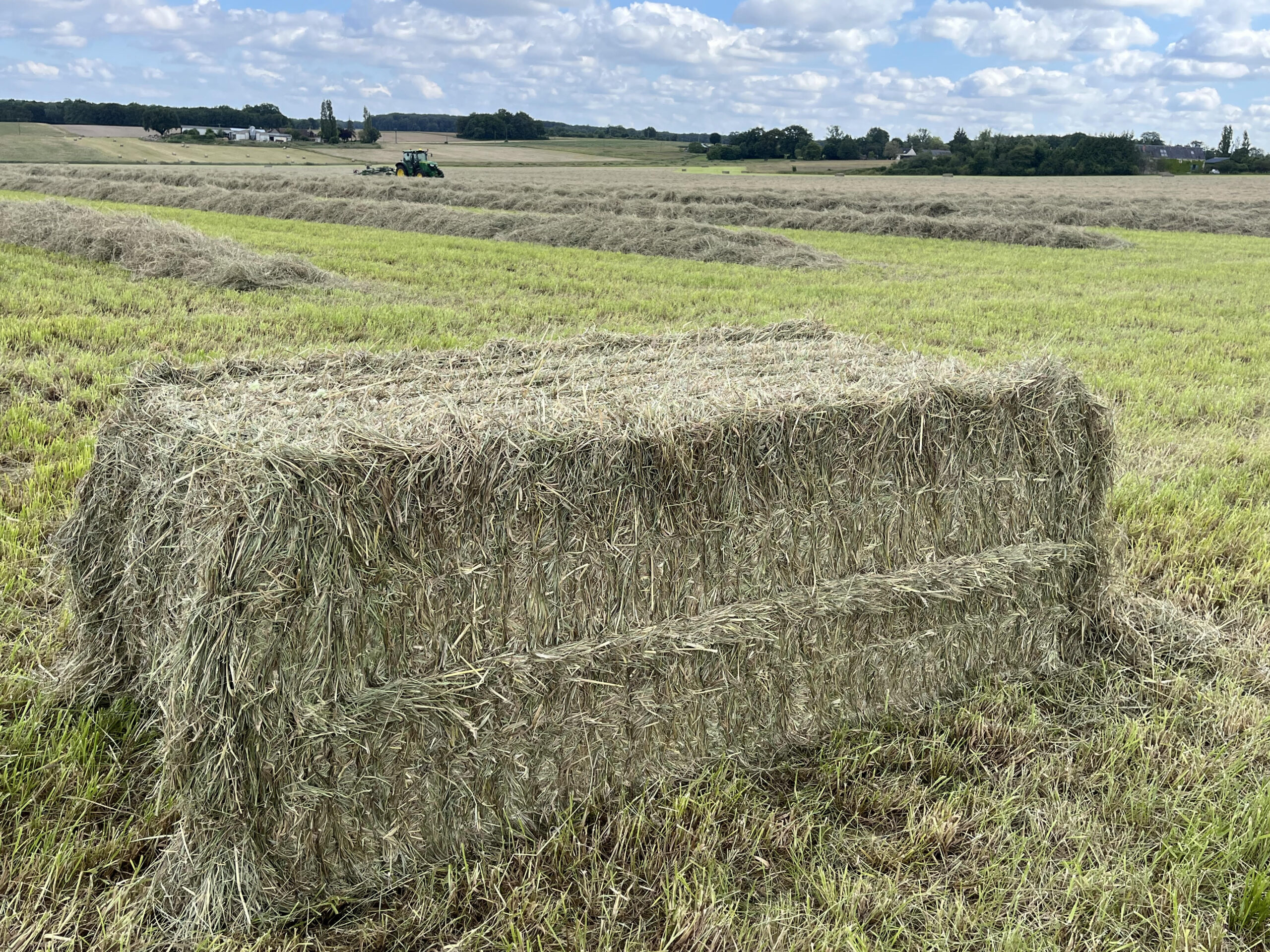 Foin Standard - Vente au Kg